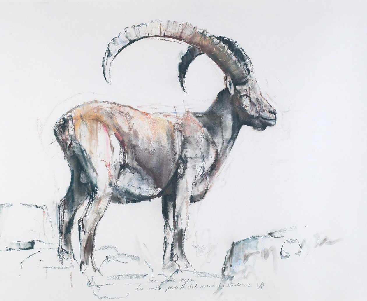 Venerando Stambecco, 2006 (kull und conte på papir) av Mark Adlington