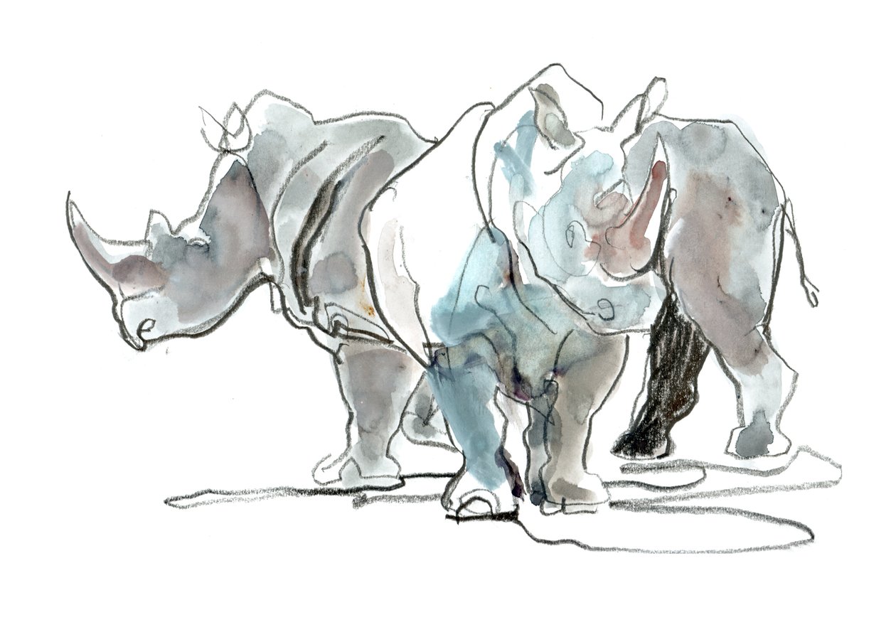 White Rhinos, Mount Etjo, 2020 av Mark Adlington