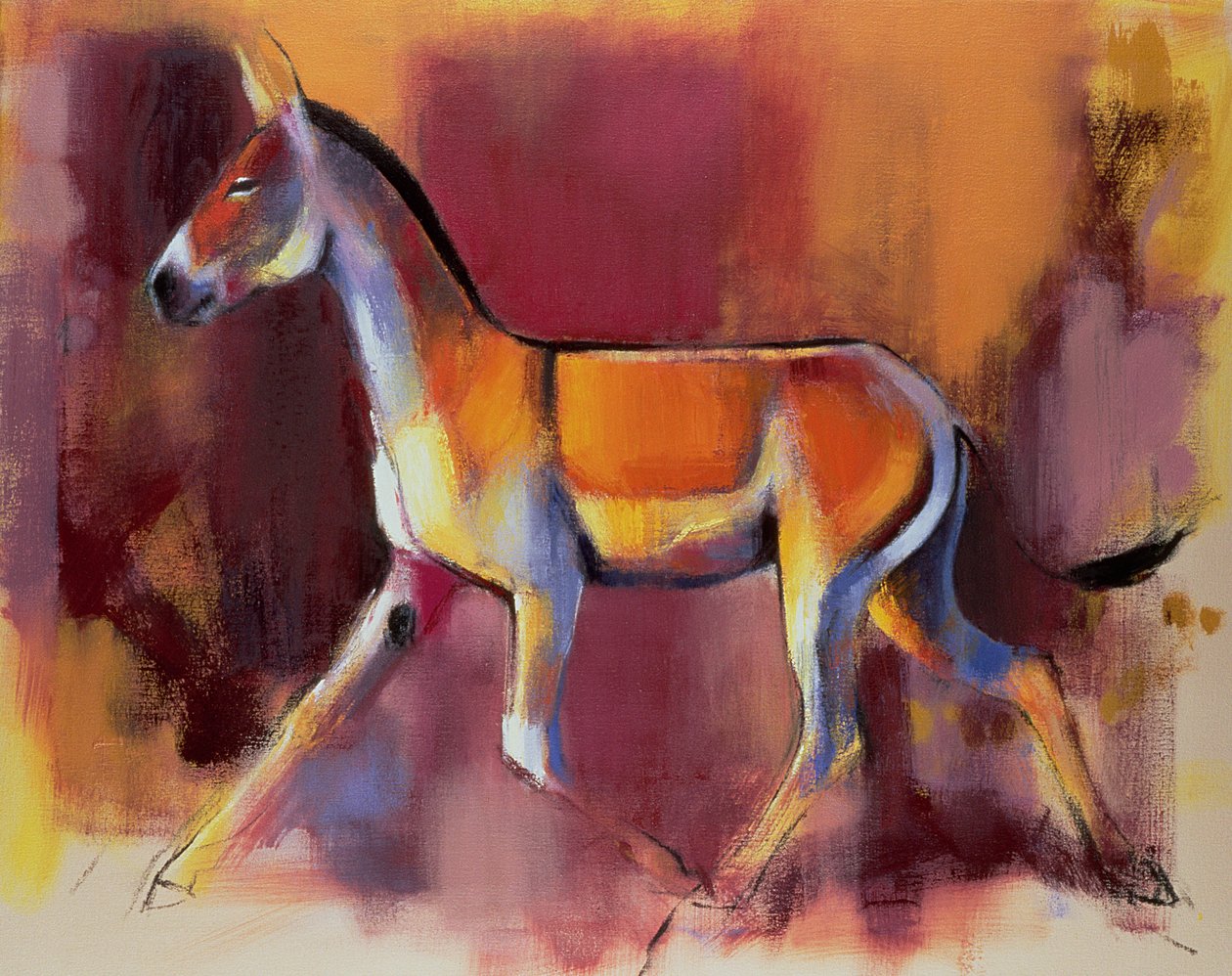 Wild Ass, Rann of Kutch, 1996 av Mark Adlington