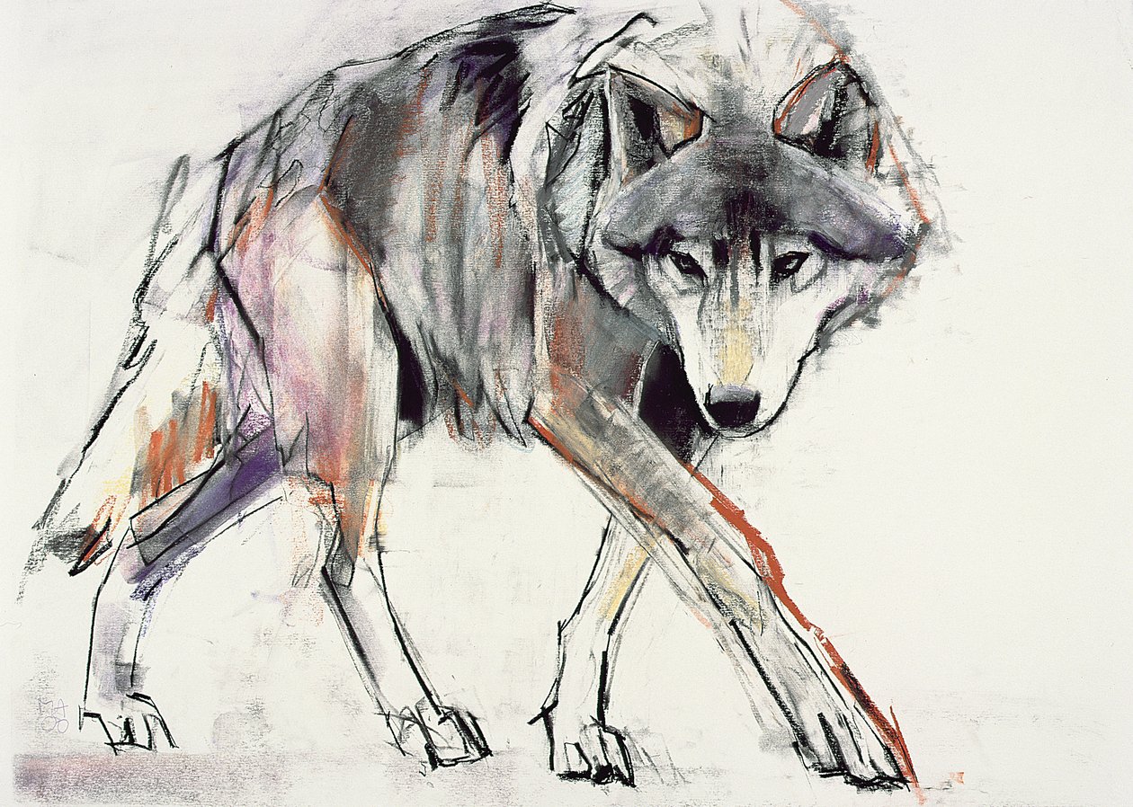 Wolf (blandet media på papir) av Mark Adlington