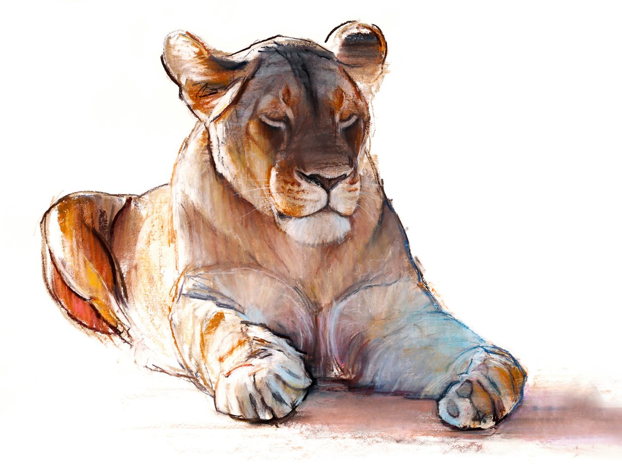 Yogi Lioness, 2019 av Mark Adlington