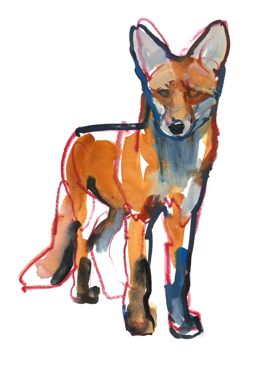 Young Fox, 2021 av Mark Adlington