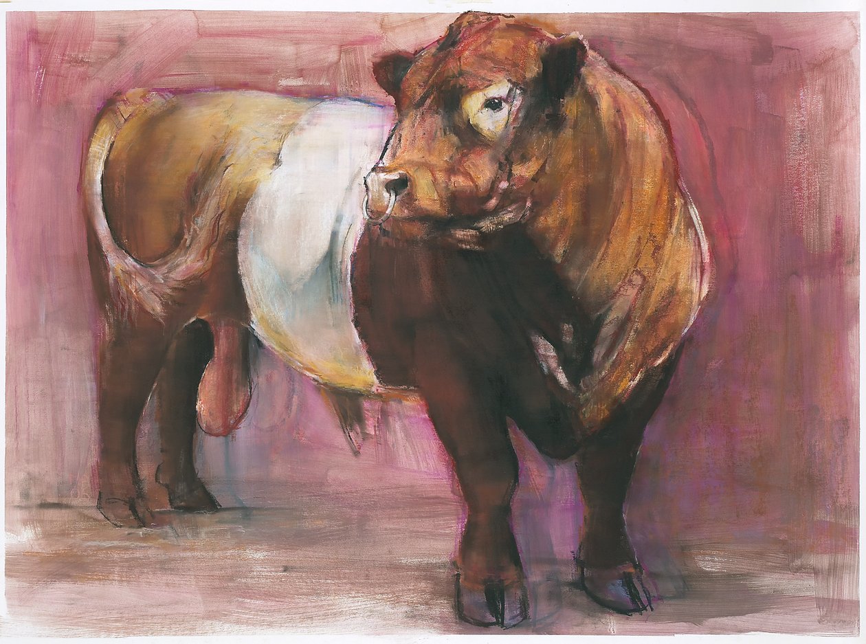 Zeus, Red Belted Galloway Bull, 2006 (blandet media på papir) av Mark Adlington
