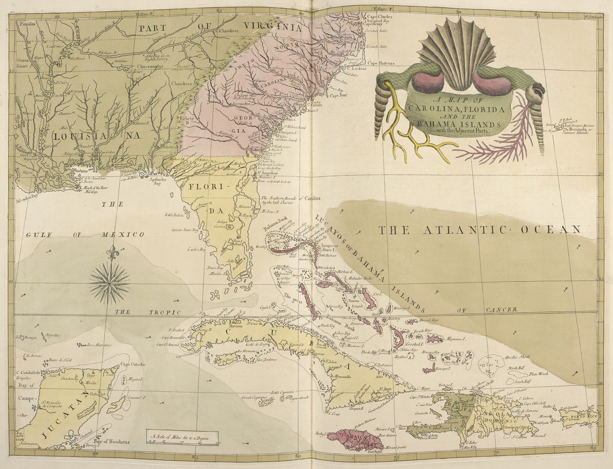 Et kart over Carolina, Florida og Bahama-øyene av Mark Catesby