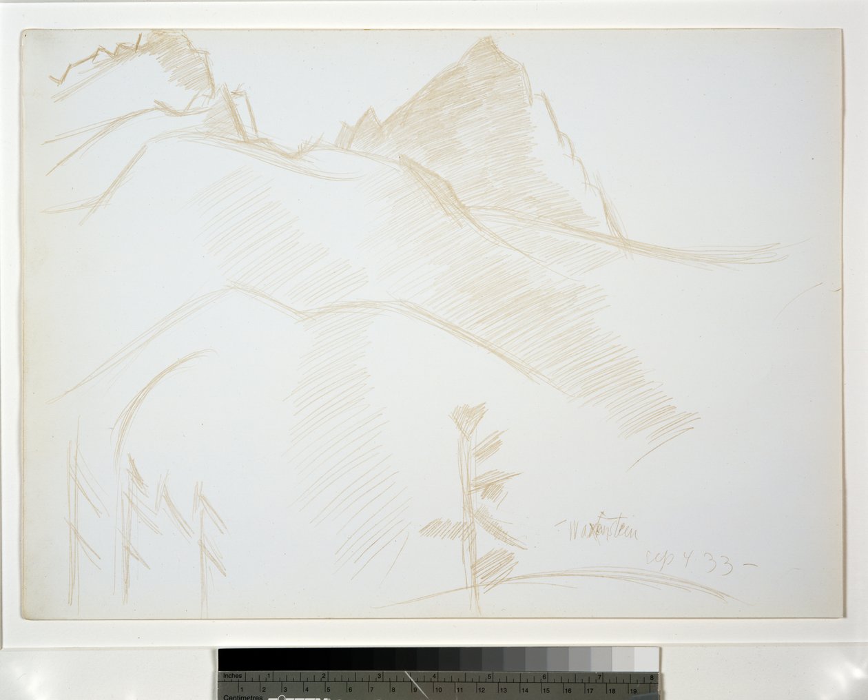 Fjelllandskap med furutrær av Marsden Hartley