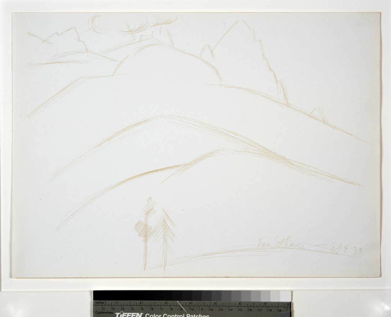 Fjelllandskap med to furutrær av Marsden Hartley