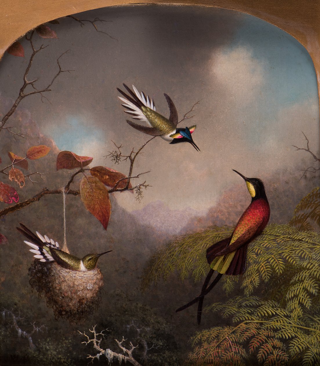 Hummingbirds: To "Sungems" og en "Crimson Topaz", 1866 av Martin Johnson Heade