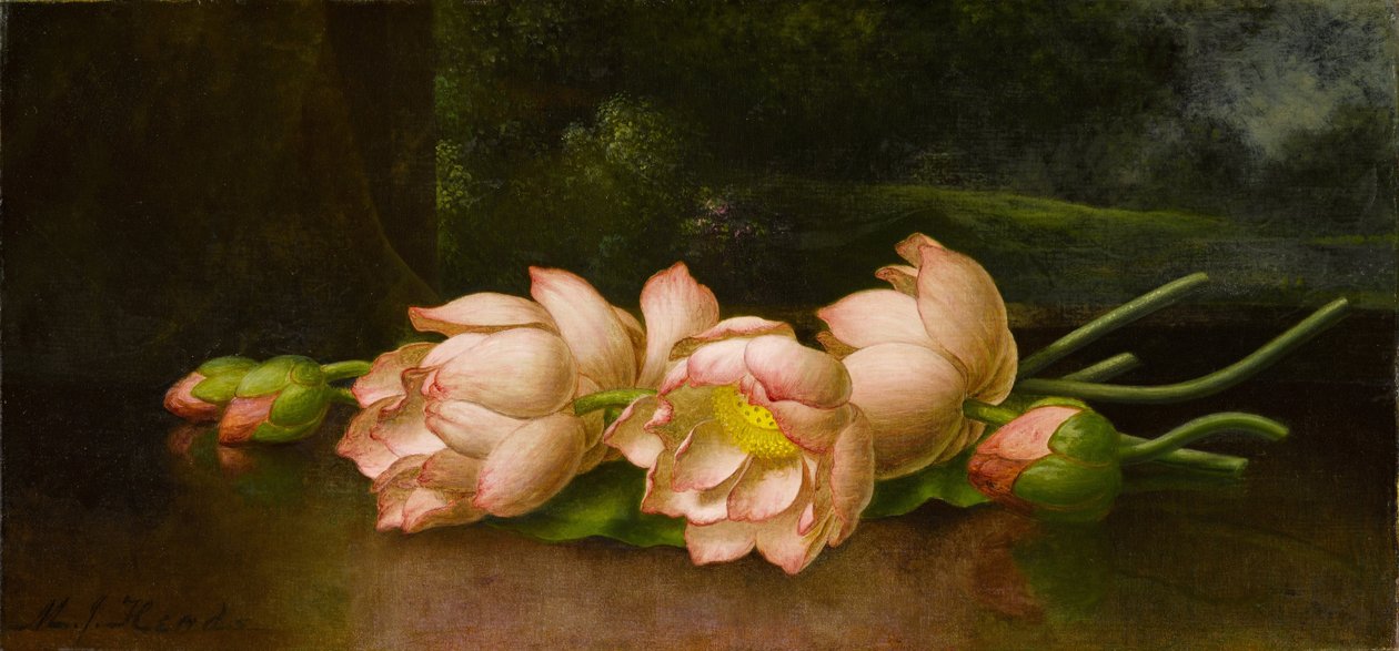 Lotusblomster med et landskapsmaleri i bakgrunnen av Martin Johnson Heade