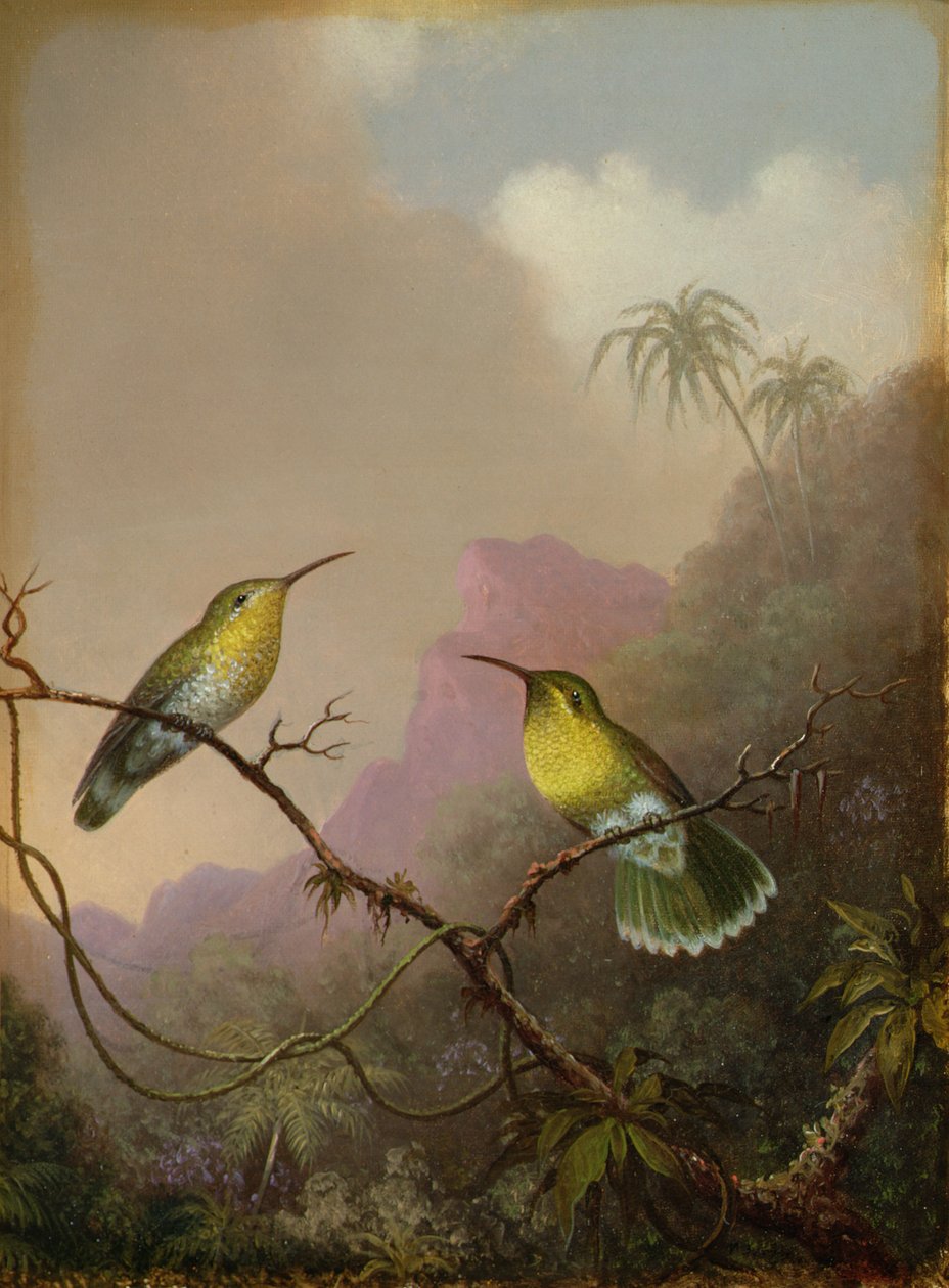 To kolibrier, ca. 1865-75 av Martin Johnson Heade