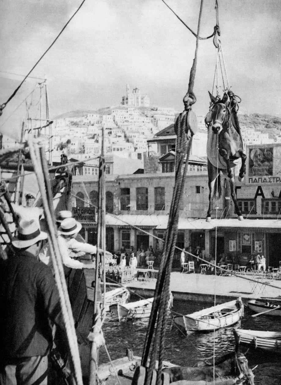 Forsendelse av muldyr, Syros Island, Hellas, 1937. av Martin Hurlimann