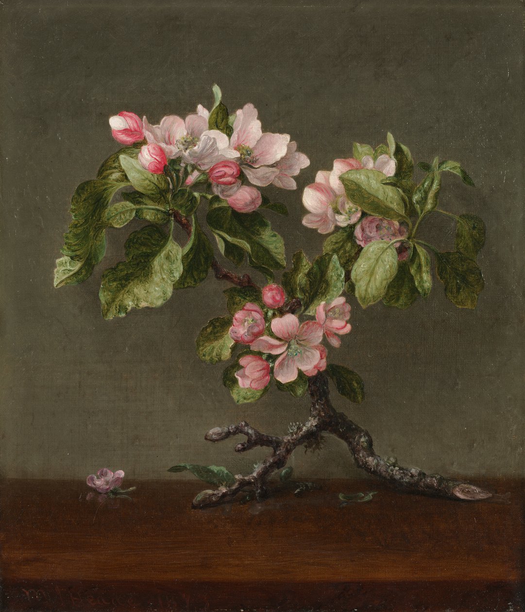 Epleblomster av Martin Johnson Heade