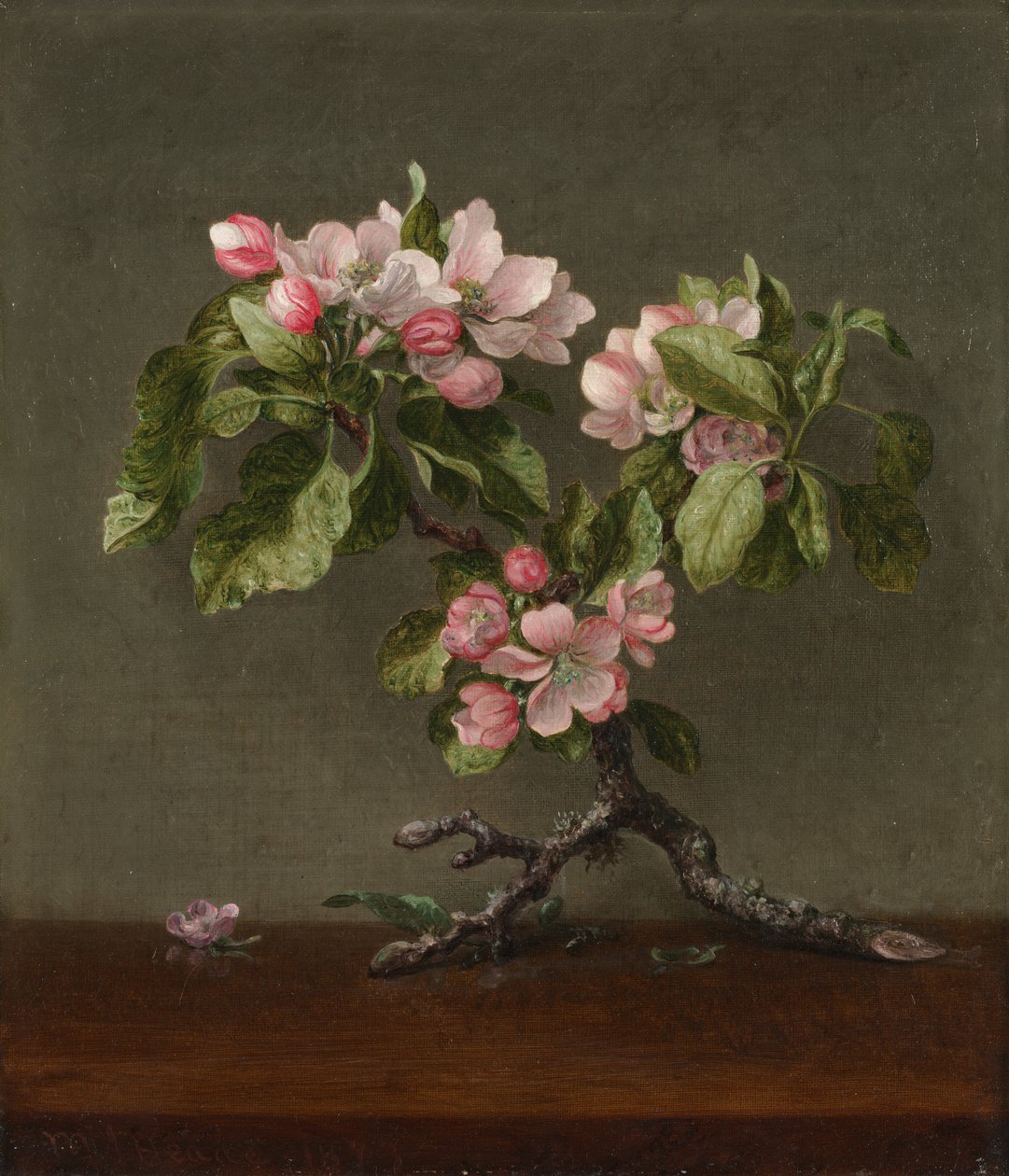 Epleblomster, 1873. av Martin Johnson Heade