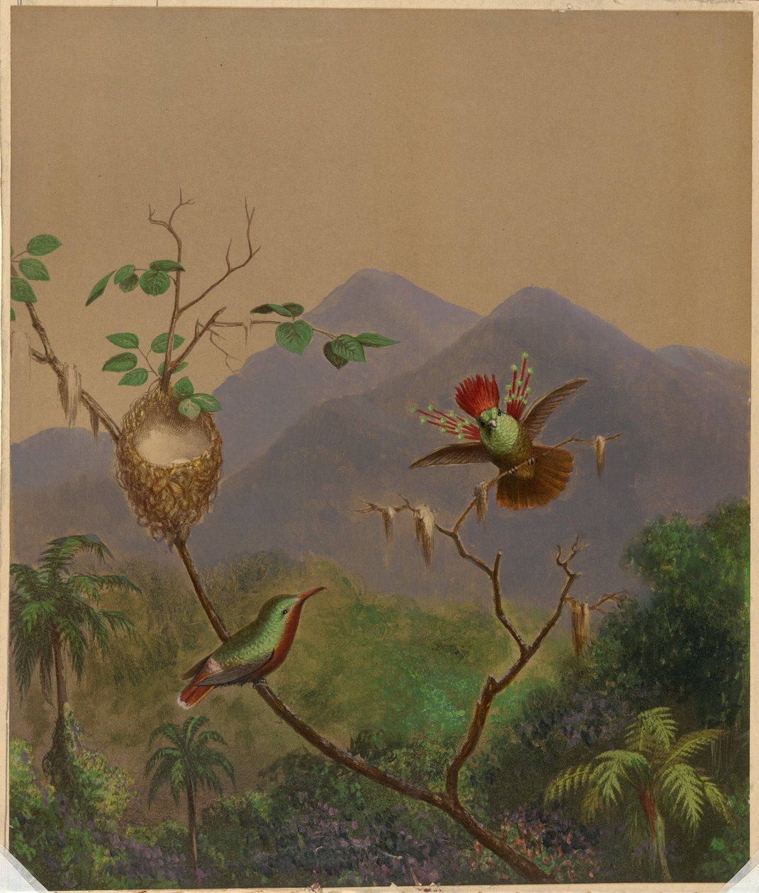 Brasilianske kolibrier III av Martin Johnson Heade