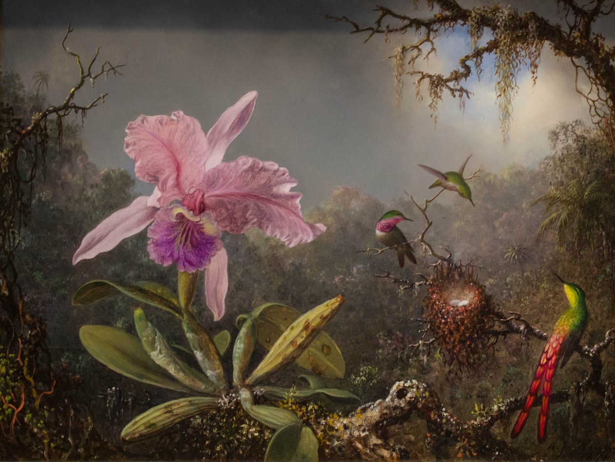  av Martin Johnson Heade