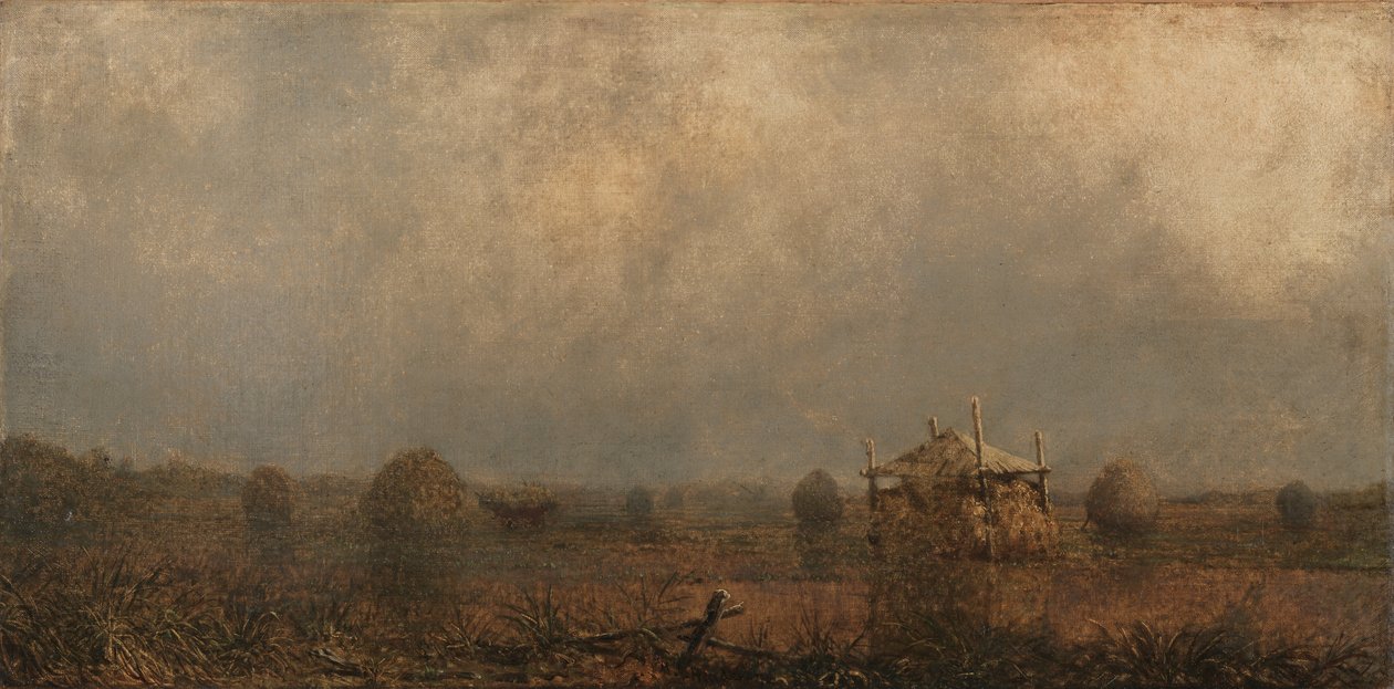 Høyvann på myrene av Martin Johnson Heade