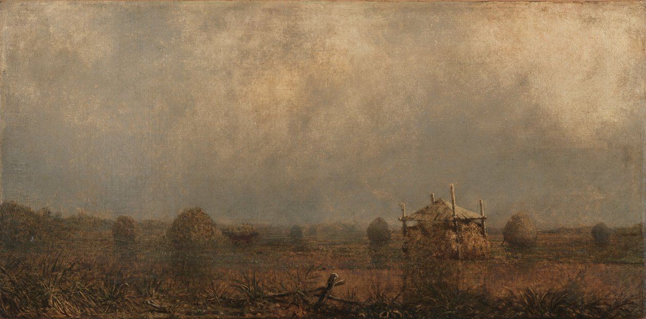 Høyvann på myrene, 1872. av Martin Johnson Heade
