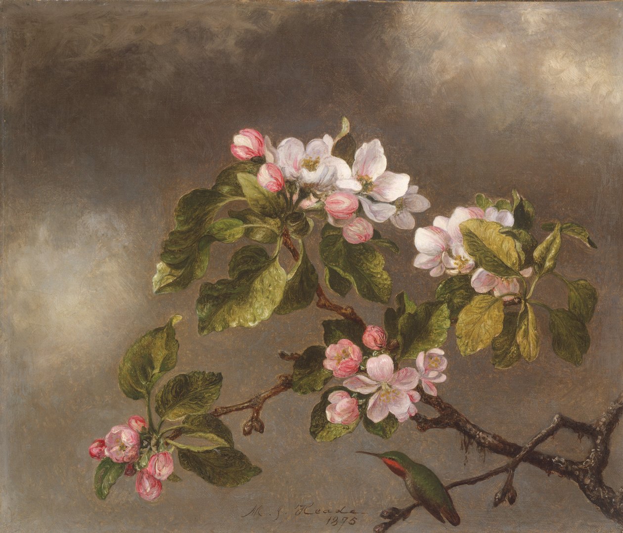 Kolibri og epleblomster, 1875. av Martin Johnson Heade