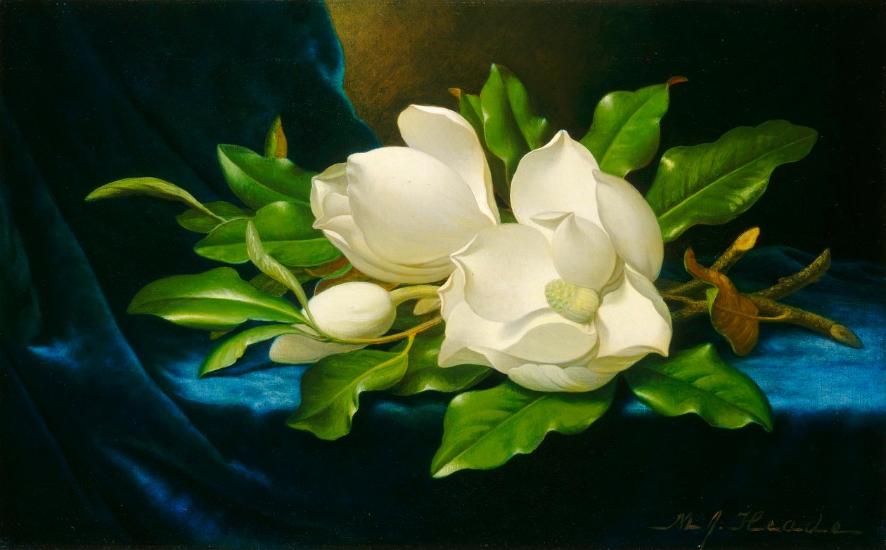  av Martin Johnson Heade