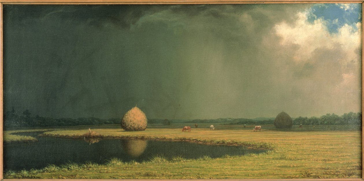  av Martin Johnson Heade