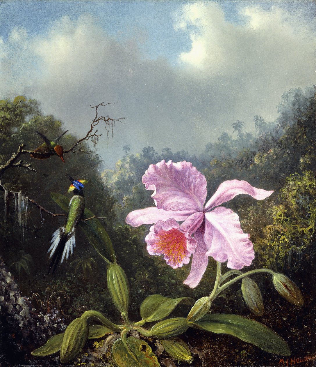 Stilleben med orkidé og kolibrier, ca. 1890-tallet av Martin Johnson Heade