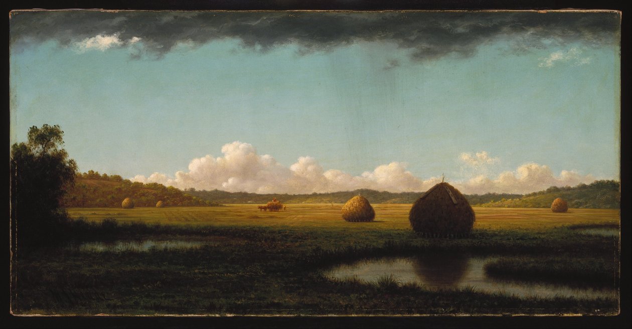 av Martin Johnson Heade