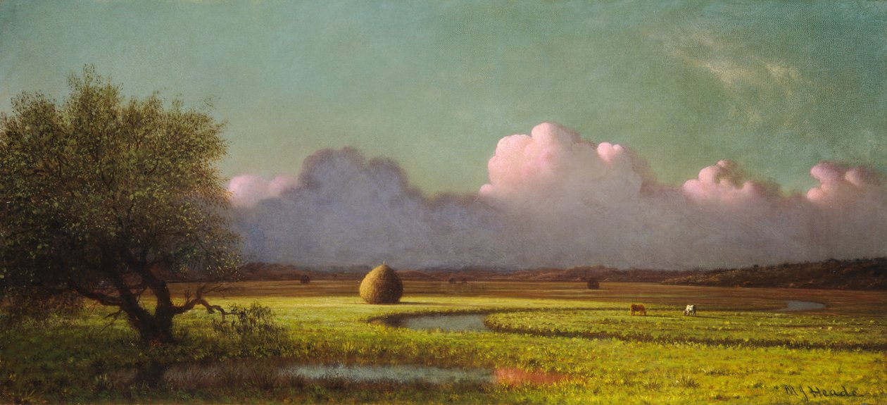 Sunlight and Shadow: The Newbury Marshes av Martin Johnson Heade