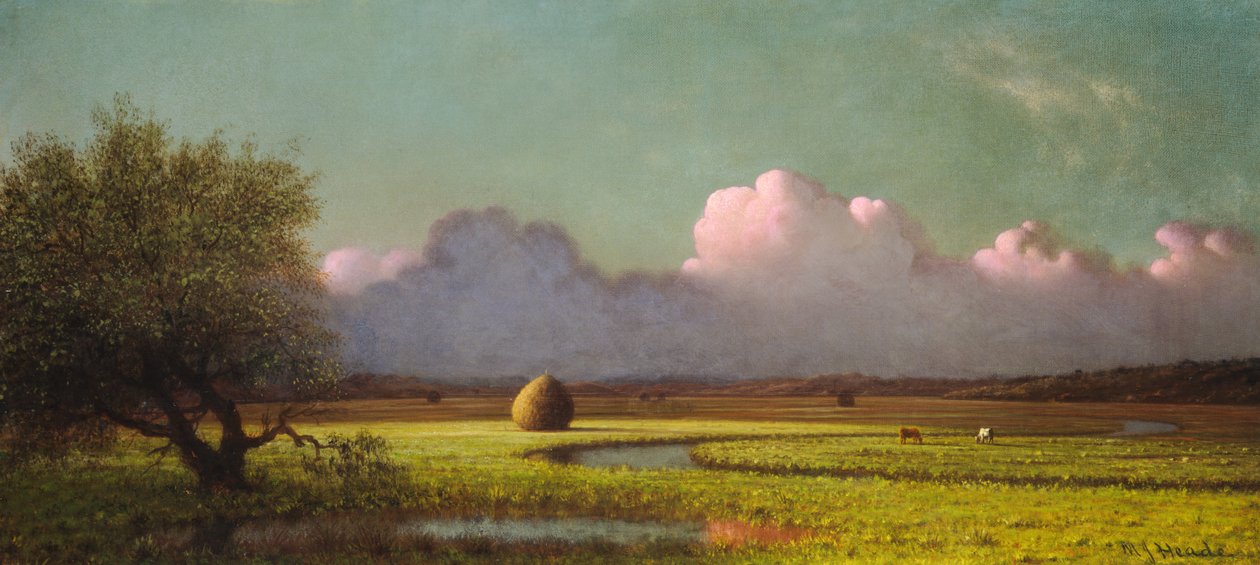  av Martin Johnson Heade