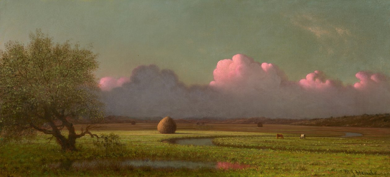 Sollys og skygge: Newbury-myrene, ca. 1871–1875 (olje på lerret) av Martin Johnson Heade