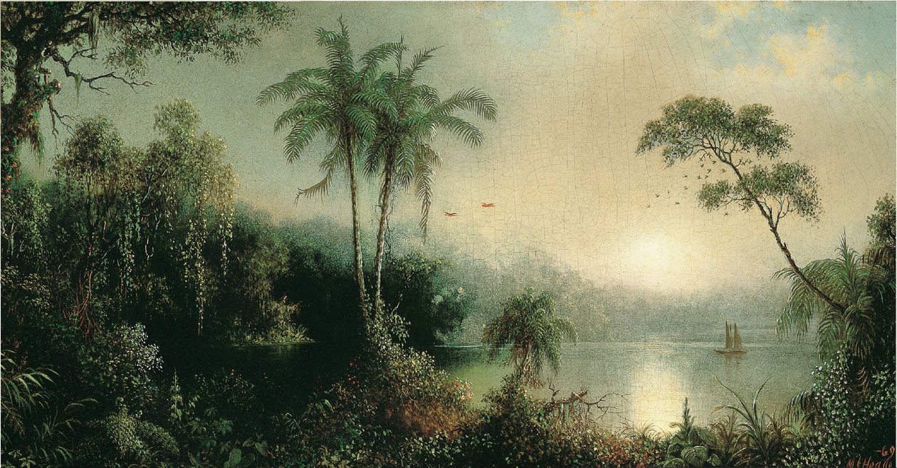  av Martin Johnson Heade