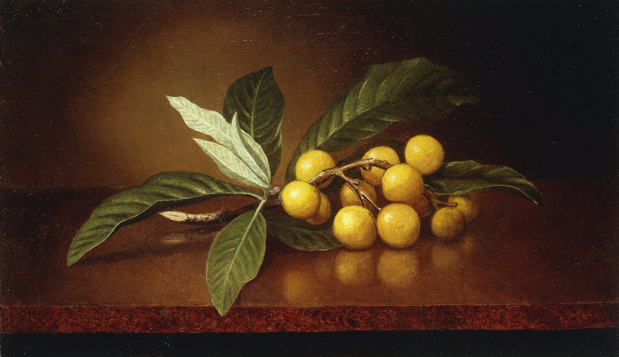 Tropiske plommer, av Martin Johnson Heade