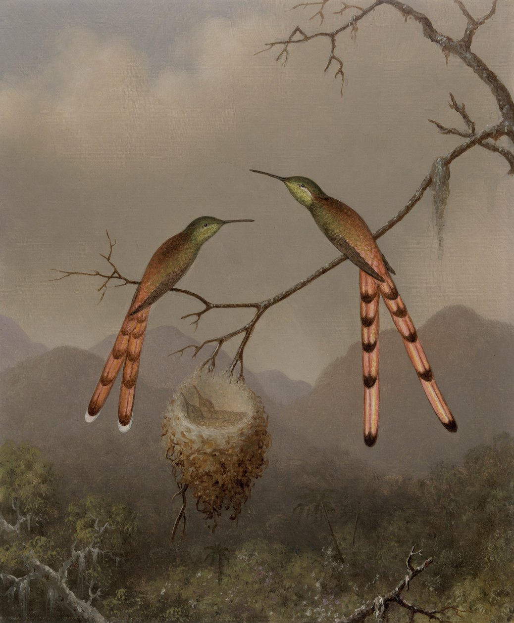 To kolibrier med ungene sine av Martin Johnson Heade