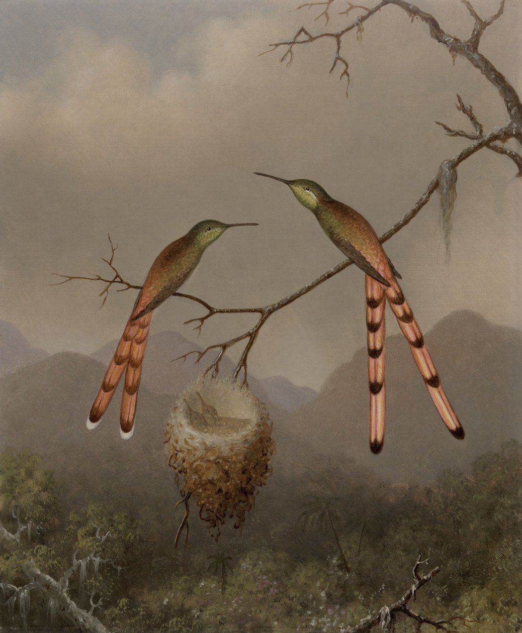 To kolibrier med ungene sine av Martin Johnson Heade