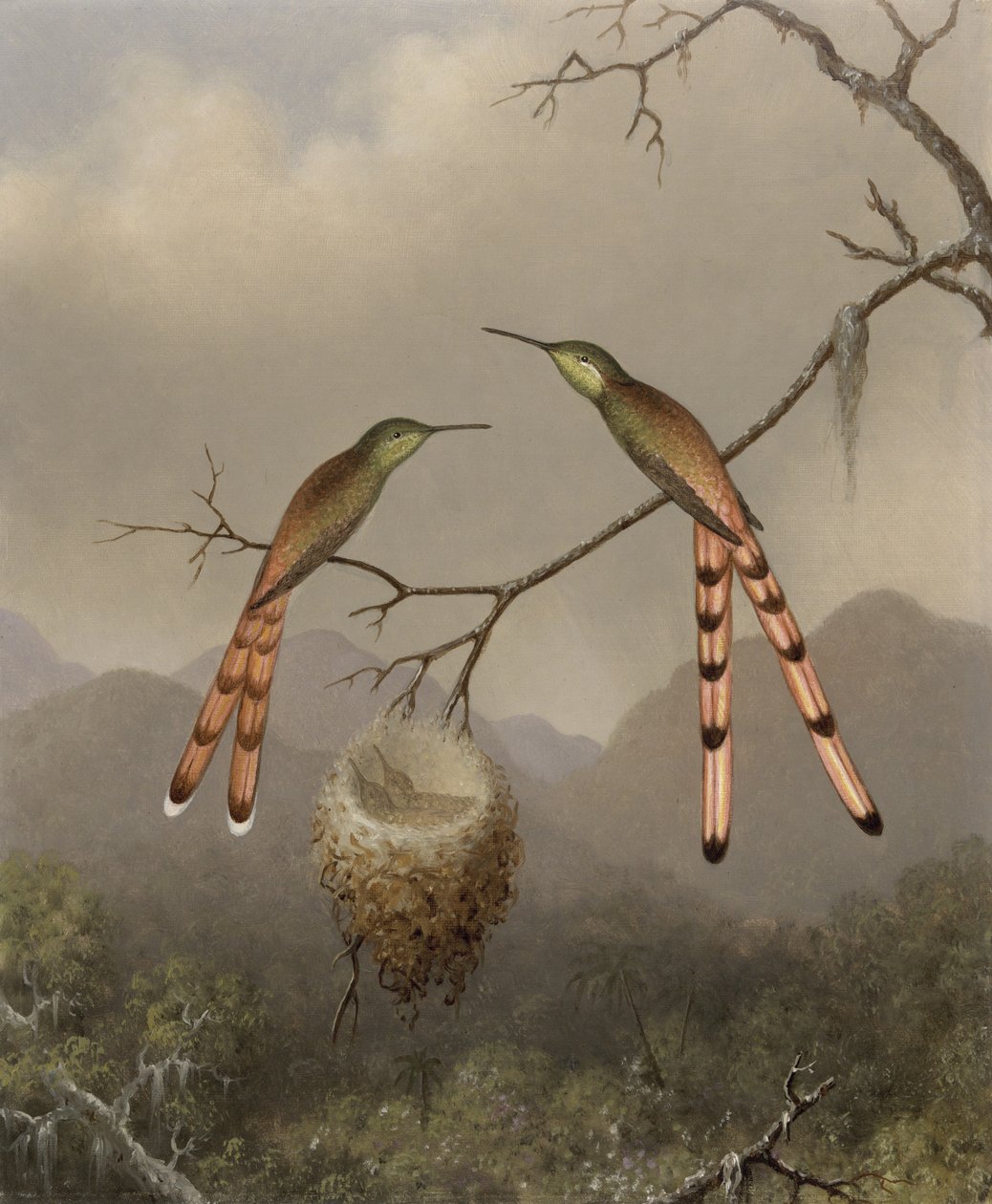 To kolibrier med unger, ca. 1865 av Martin Johnson Heade