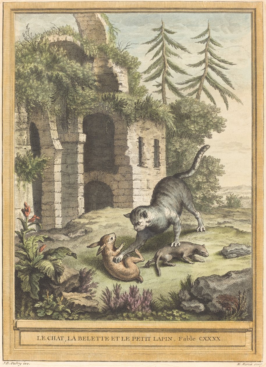 Le chat, la belette et le petit lapin (Katten, veslen og kaninen) av Martin Marvie after Jean Baptiste Oudry