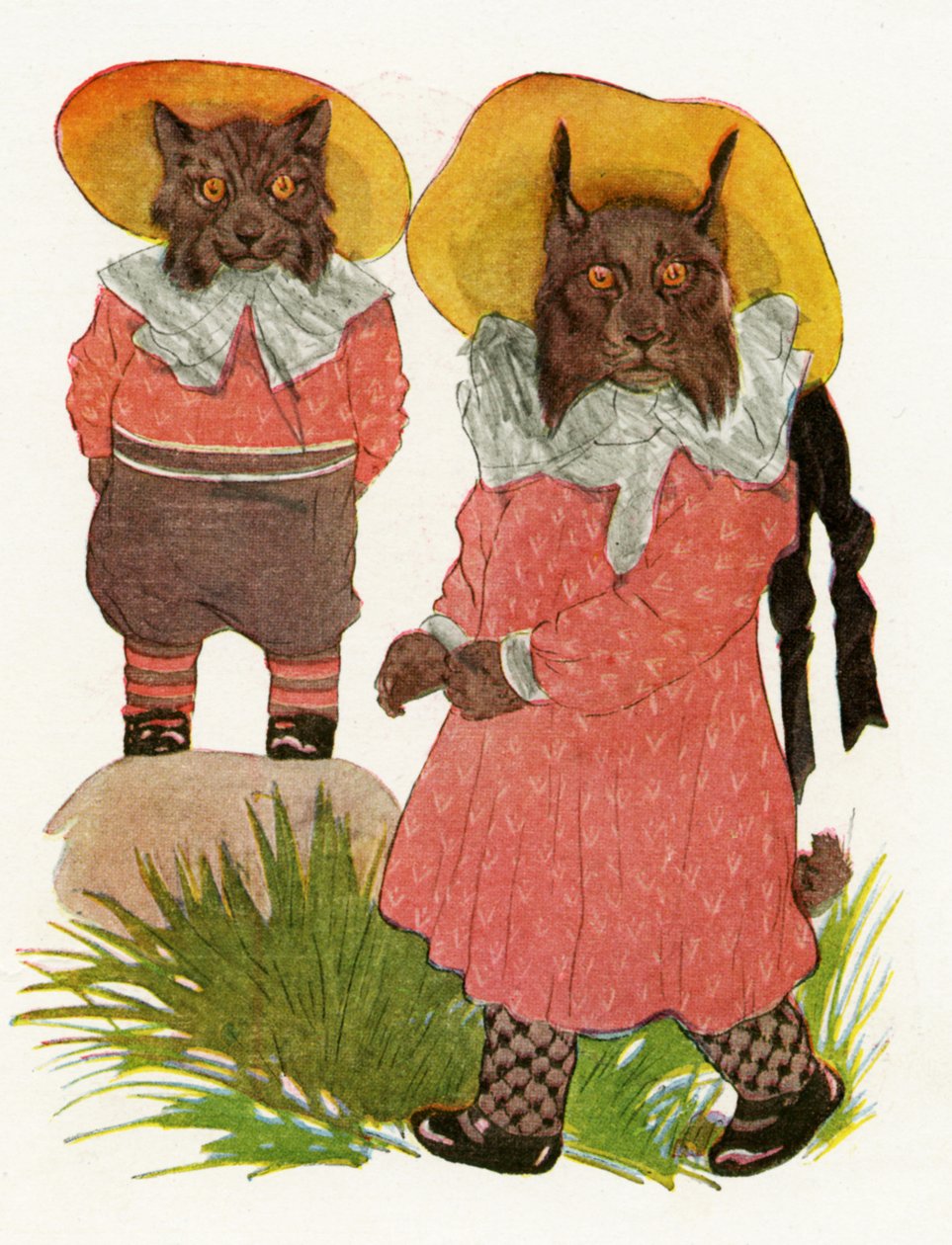 Bobcat og kanadisk gaupe, 1913 av Martin Ross