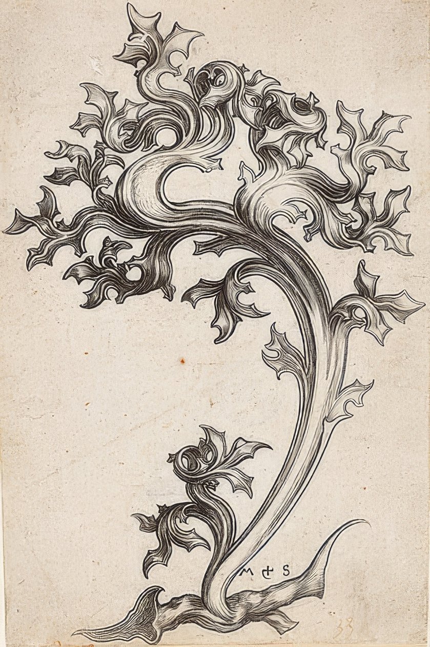 Bladpynt fra en tistel av Martin Schongauer