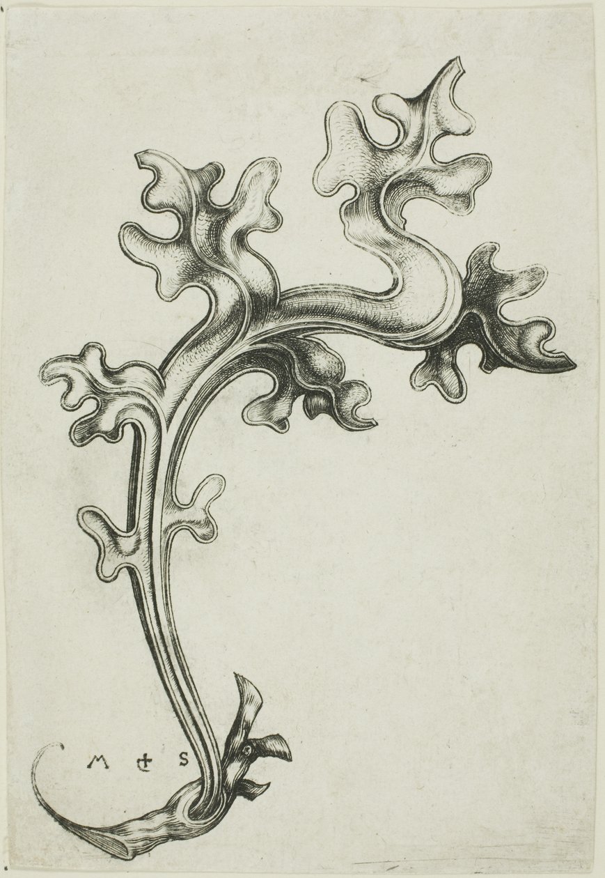  av Martin Schongauer
