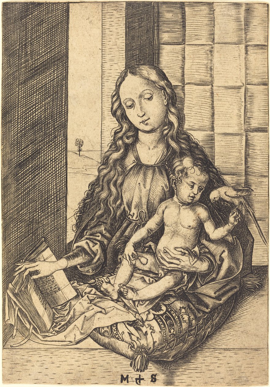 Madonna med en papegøye av Martin Schongauer