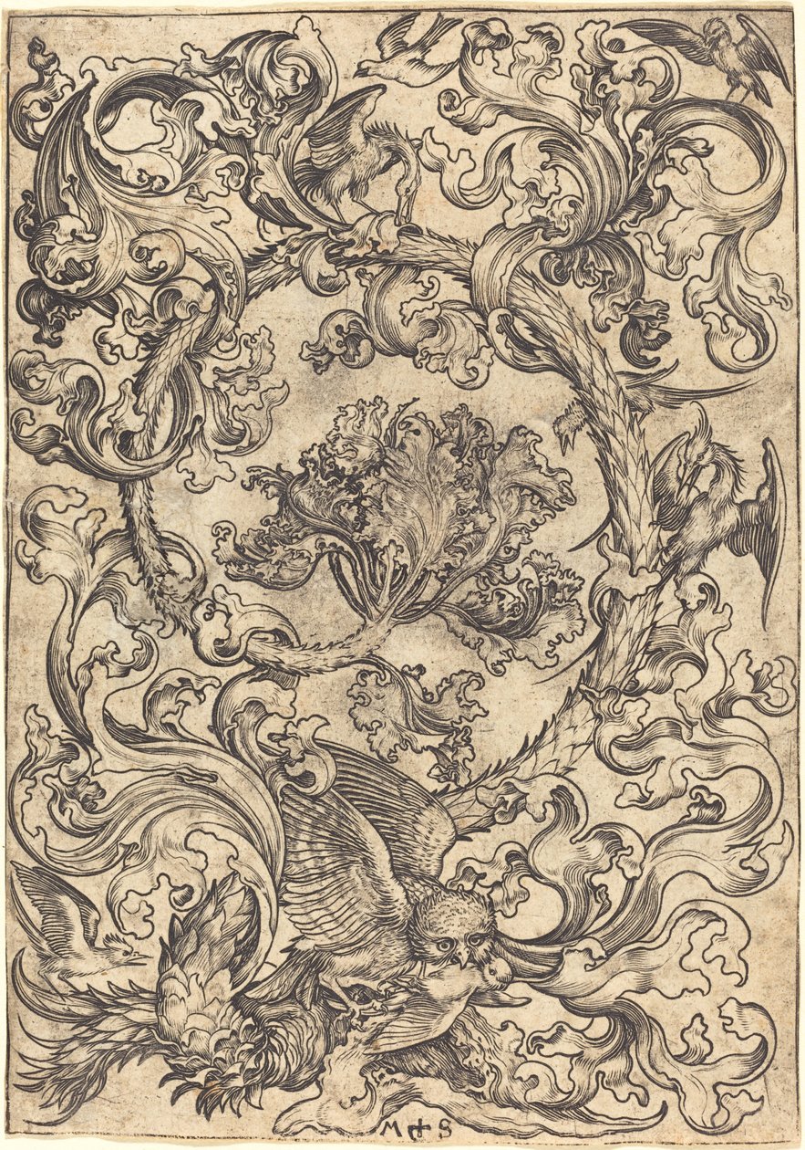 Ornament med ugle hånet av dagfugler av Martin Schongauer