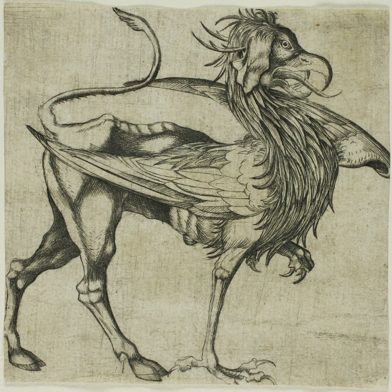  av Martin Schongauer