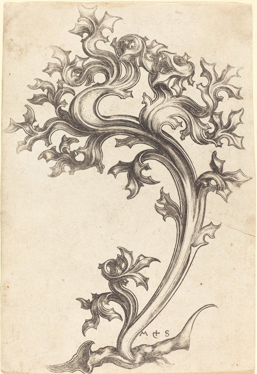 Tistel Ornament av Martin Schongauer