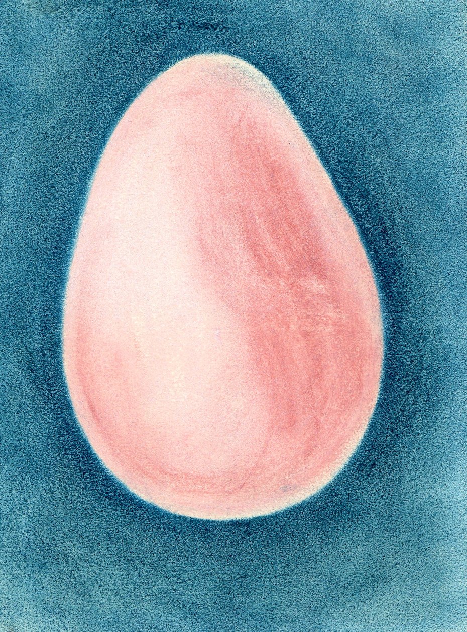 Rosa egg av Martina Konitzky