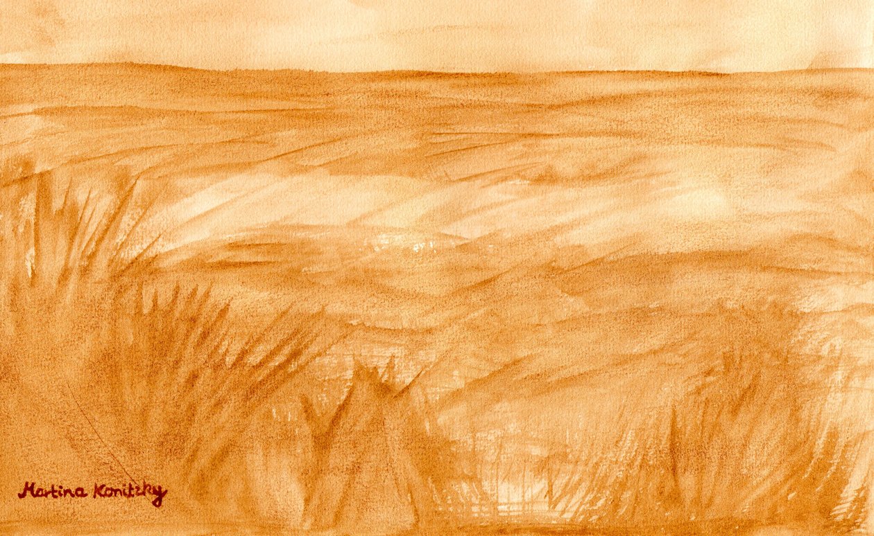 Sommerfelder av Martina Konitzky