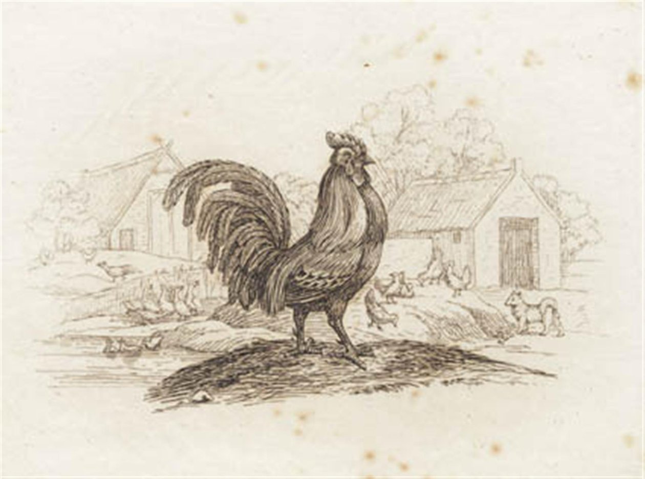 Illustrasjon til "Halv hundre fabler for barn" av Hey av Martinus Rørbye