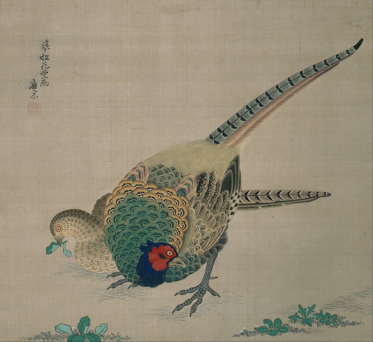 Hengende rull (par fasaner) av Maruyama Okyo