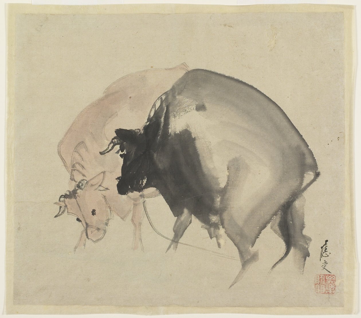 Two Bulls, ca. 1810 (blekk og farger på papir) av Maruyama Oju
