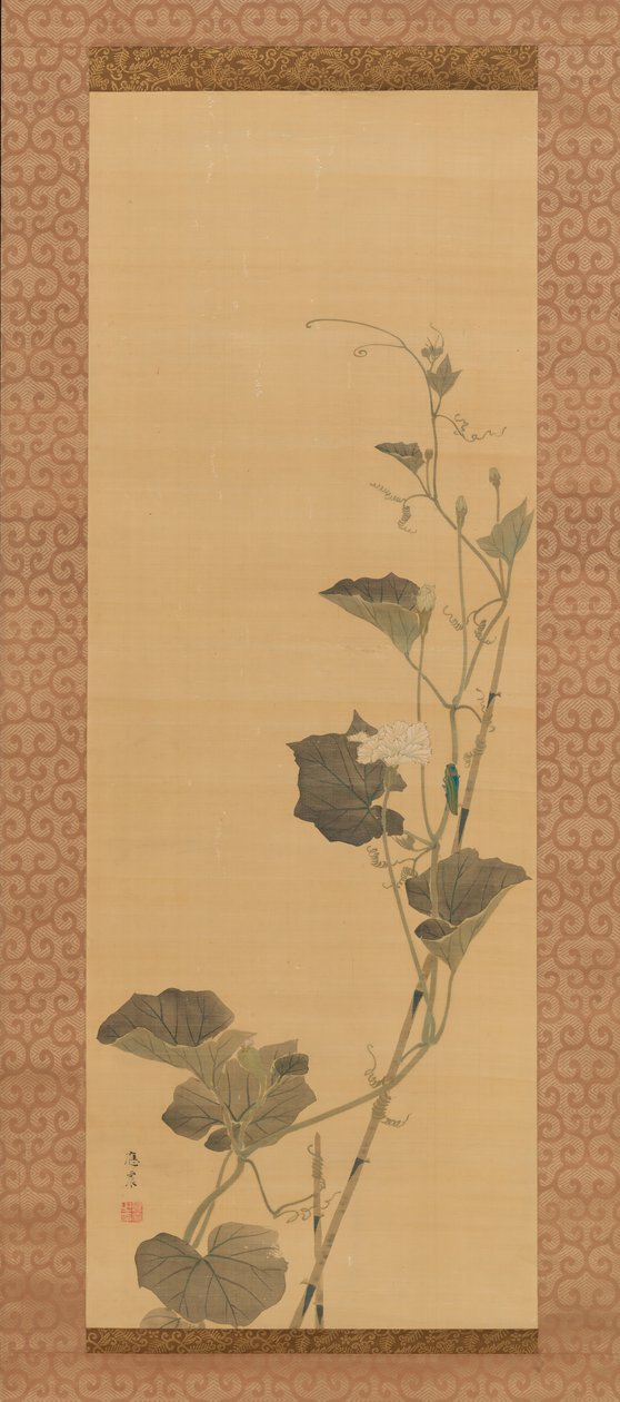 Calabash Flowers and Beetle, tidlig på 1800-tallet. av Maruyama Ôshin