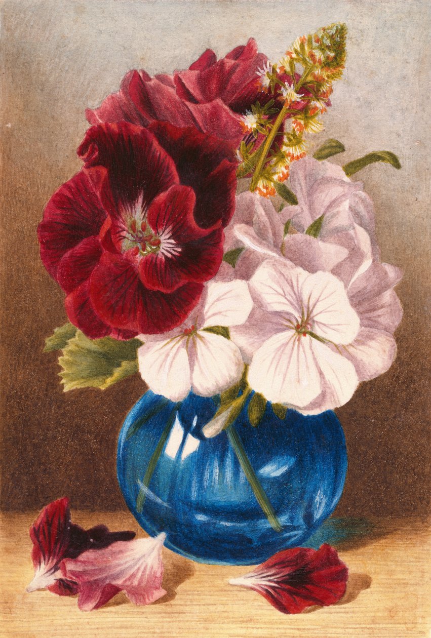 Ukjent bilde av Mary Elizabeth Duffield