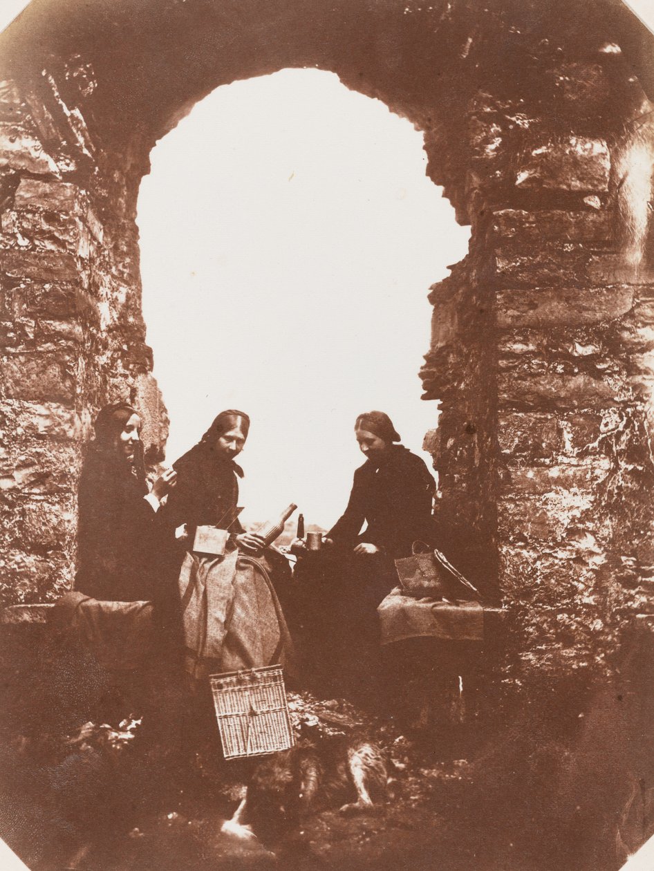  av Mary Dillwyn