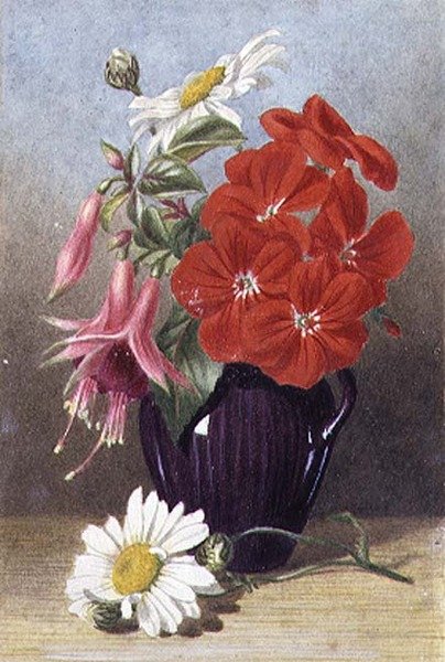 Pelargonier og fuchsiaer i glasert lilla kanne av Mary Elizabeth Duffield
